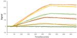 SARS-CoV-2 Spike Protein S1 (aa11-682), hFc-His Tag Protein in Binding assay (Binding)