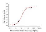 SARS-CoV-2 Spike Protein S1/S2 (aa11-1208), His Tag Protein in ELISA standard (ELISA Std)