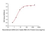 SARS-CoV-2 Spike Protein (RBD) (aa319-541), mFc Tag Protein in ELISA standard (ELISA Std)