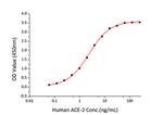 Human ACE2 (aa18-740) Fc Chimera Protein in ELISA standard (ELISA Std)