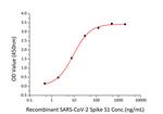 Human ACE2 (aa18-740), His-tag Protein in ELISA standard (ELISA Std)