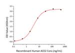 SARS-CoV-2 Spike Protein (RBD) (aa319-541), His Tag Protein in ELISA standard (ELISA Std)