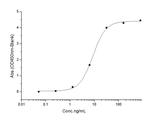 SARS-CoV-2 Spike Protein (RBD) (Y453F) His-tag Protein
