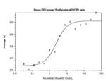 Mouse IGF1 Protein