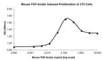 Mouse FGF1 Protein