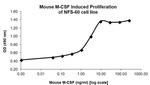 Mouse M-CSF Protein
