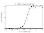 Human IL-6 Protein