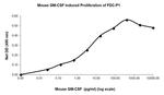 Mouse GM-CSF Protein