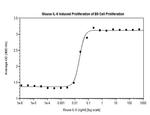 Mouse IL-6 Protein