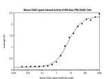 Mouse CD40 Ligand (TNFSF5) Protein
