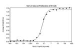 Rat IL-6 Protein