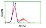 RPA2 Antibody in Flow Cytometry (Flow)