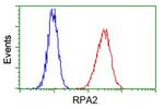 RPA2 Antibody in Flow Cytometry (Flow)