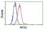 RPA2 Antibody in Flow Cytometry (Flow)
