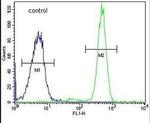 POLR3H Antibody in Flow Cytometry (Flow)