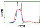 RPN1 Antibody in Flow Cytometry (Flow)