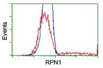 RPN1 Antibody in Flow Cytometry (Flow)