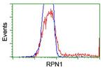 RPN1 Antibody in Flow Cytometry (Flow)