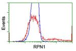 RPN1 Antibody in Flow Cytometry (Flow)