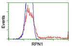RPN1 Antibody in Flow Cytometry (Flow)