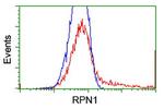 RPN1 Antibody in Flow Cytometry (Flow)