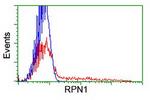 RPN1 Antibody in Flow Cytometry (Flow)