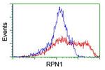 RPN1 Antibody in Flow Cytometry (Flow)