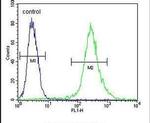 RPS24 Antibody in Flow Cytometry (Flow)
