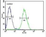 RPS3A Antibody in Flow Cytometry (Flow)