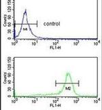RPS6KB2 Antibody in Flow Cytometry (Flow)