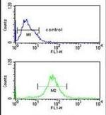 MRPS25 Antibody in Flow Cytometry (Flow)