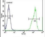 RTN4IP1 Antibody in Flow Cytometry (Flow)