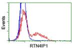 RTN4IP1 Antibody in Flow Cytometry (Flow)
