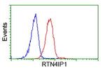 RTN4IP1 Antibody in Flow Cytometry (Flow)