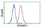RTN4IP1 Antibody in Flow Cytometry (Flow)