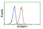 RTN4IP1 Antibody in Flow Cytometry (Flow)