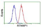 RTN4IP1 Antibody in Flow Cytometry (Flow)