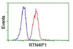 RTN4IP1 Antibody in Flow Cytometry (Flow)