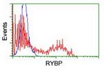 RYBP Antibody in Flow Cytometry (Flow)