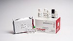Human Periostin Rapid ELISA Kit (EELR025)