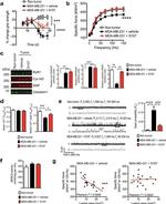 Ryanodine Receptor Antibody in Western Blot (WB)