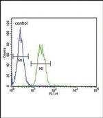 SLC6A12 Antibody in Flow Cytometry (Flow)