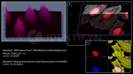 Mouse IgG, (H+L) SRM Secondary Antibody in Immunocytochemistry (ICC/IF)