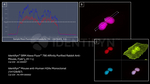 Mouse IgG, (H+L) SRM Secondary Antibody in Immunocytochemistry (ICC/IF)