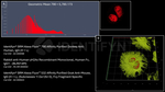 Human, IgG (H+L) SRM Secondary Antibody in Immunocytochemistry (ICC/IF)