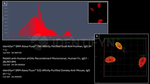 Goat anti-Human, IgG (H+L) SRM Identifyn™ Secondary Antibody, Alexa Fluor™ 790