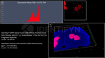 Mouse, IgG (H+L) SRM Secondary Antibody in Immunocytochemistry (ICC/IF)