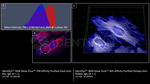 Rat, IgG (H+L) SRM Secondary Antibody in Immunocytochemistry (ICC/IF)