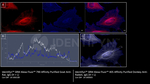 Rat, IgG (H+L) SRM Secondary Antibody in Immunocytochemistry (ICC/IF)