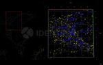 Rabbit IgG, (H+L) SRM Secondary Antibody in Immunocytochemistry (ICC/IF)